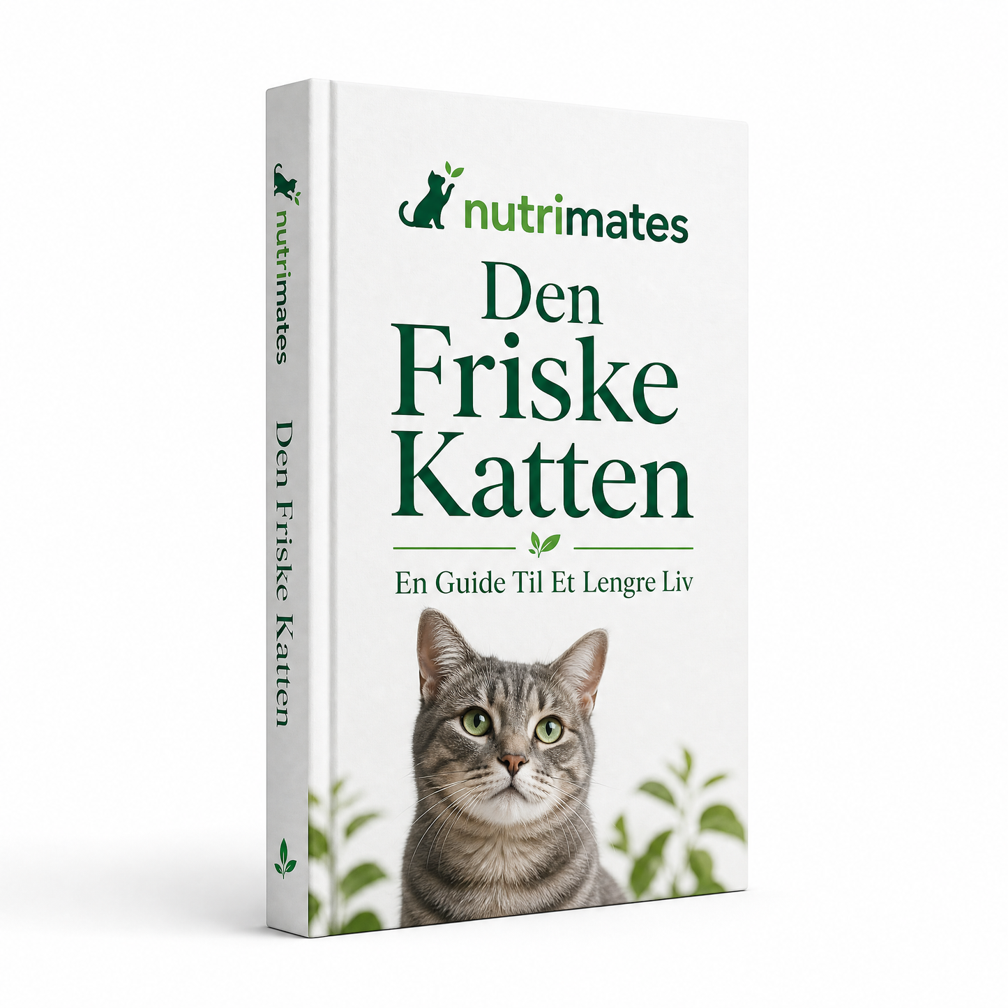 Den Friske Katten: En Guide Til Et Lengre Liv