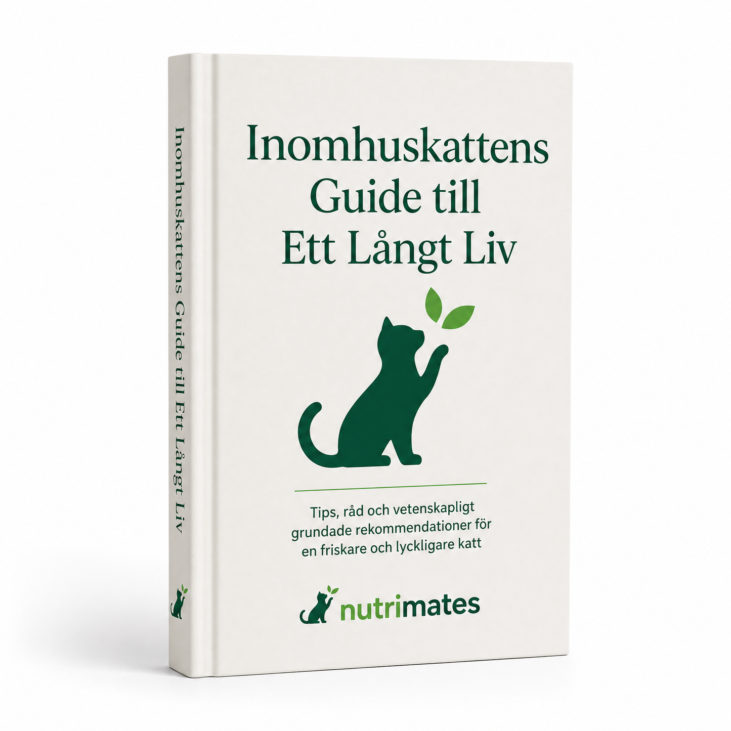 Inomhuskattens Guide till Ett Långt Liv