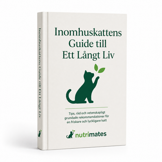 Inomhuskattens Guide till Ett Långt Liv